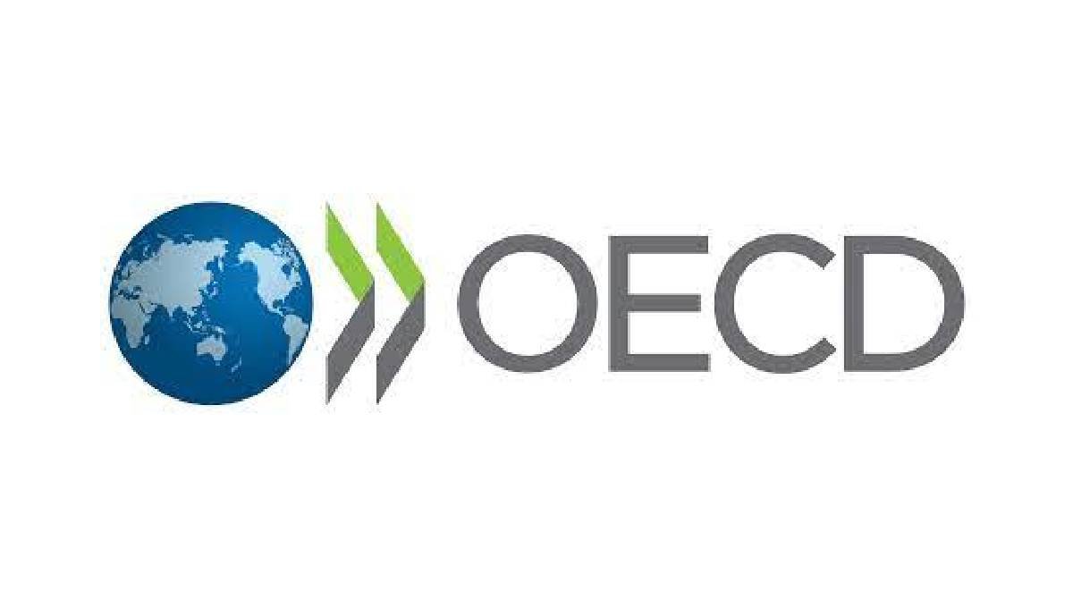 OECD Internship