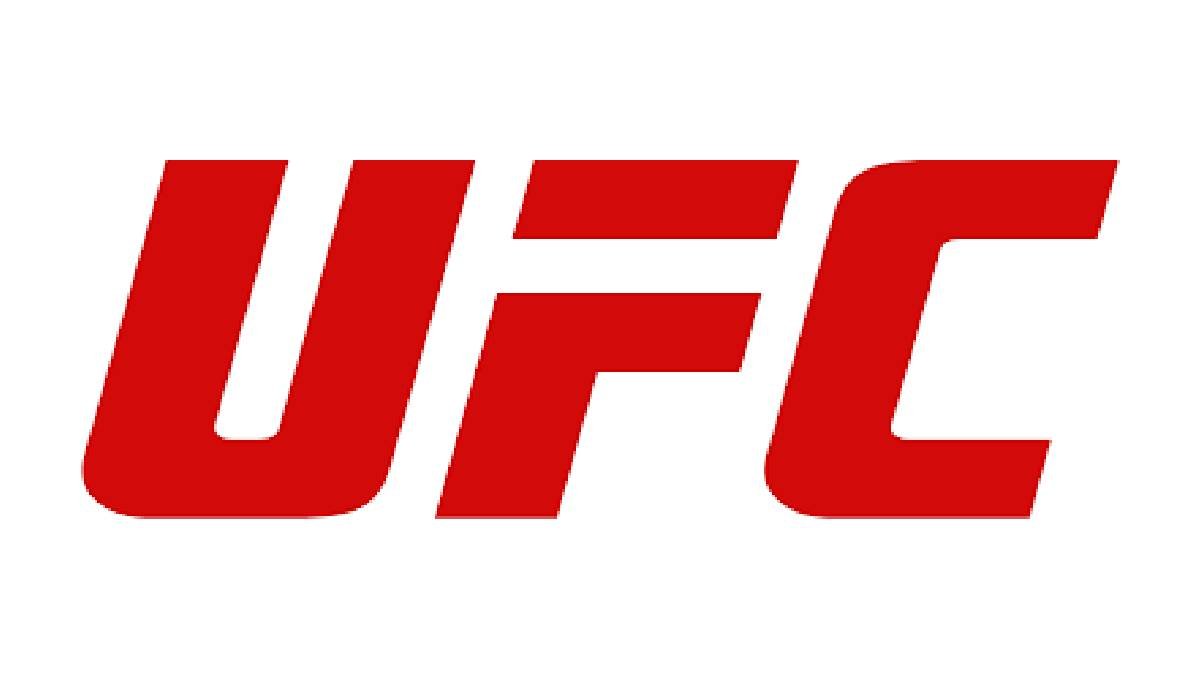 UFC Internship