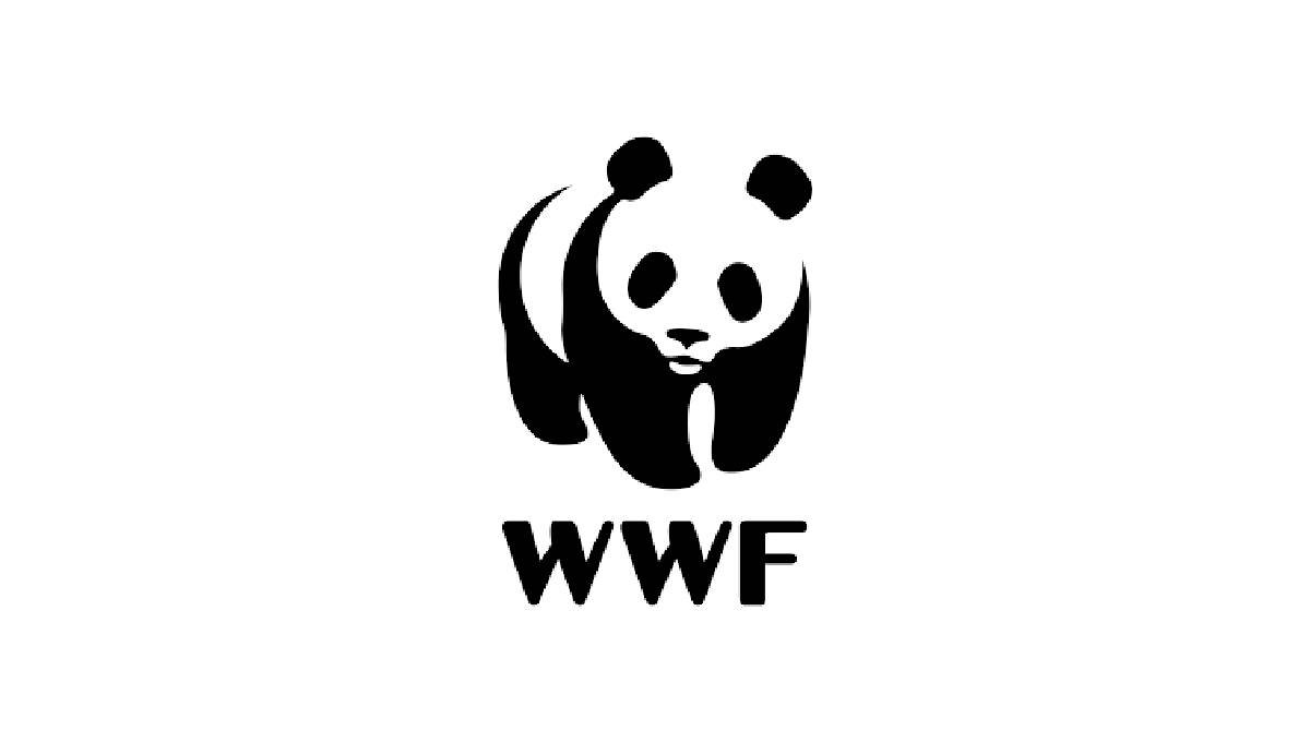 WWF Internship