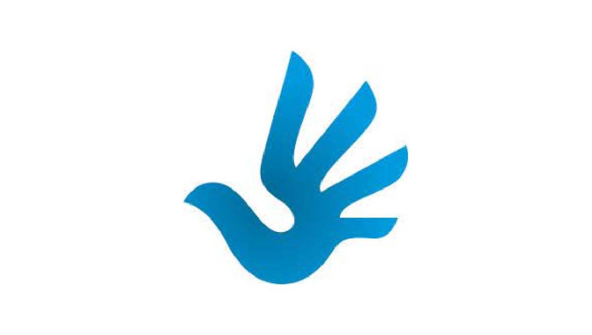 Human Rights Internship