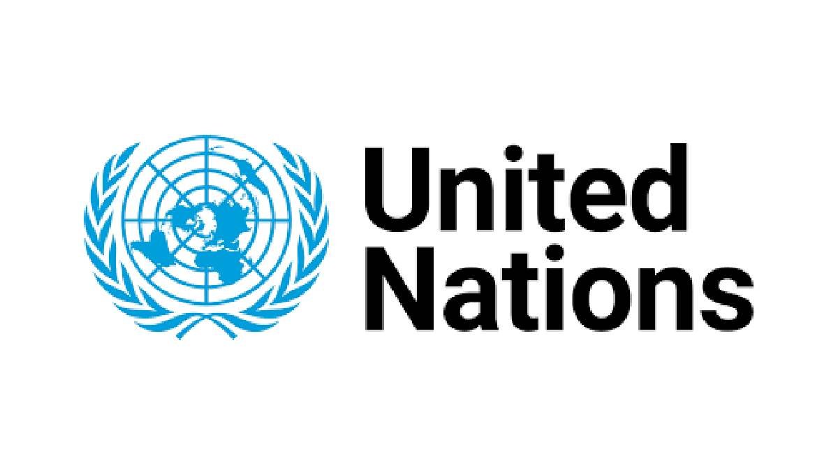 UN Internship